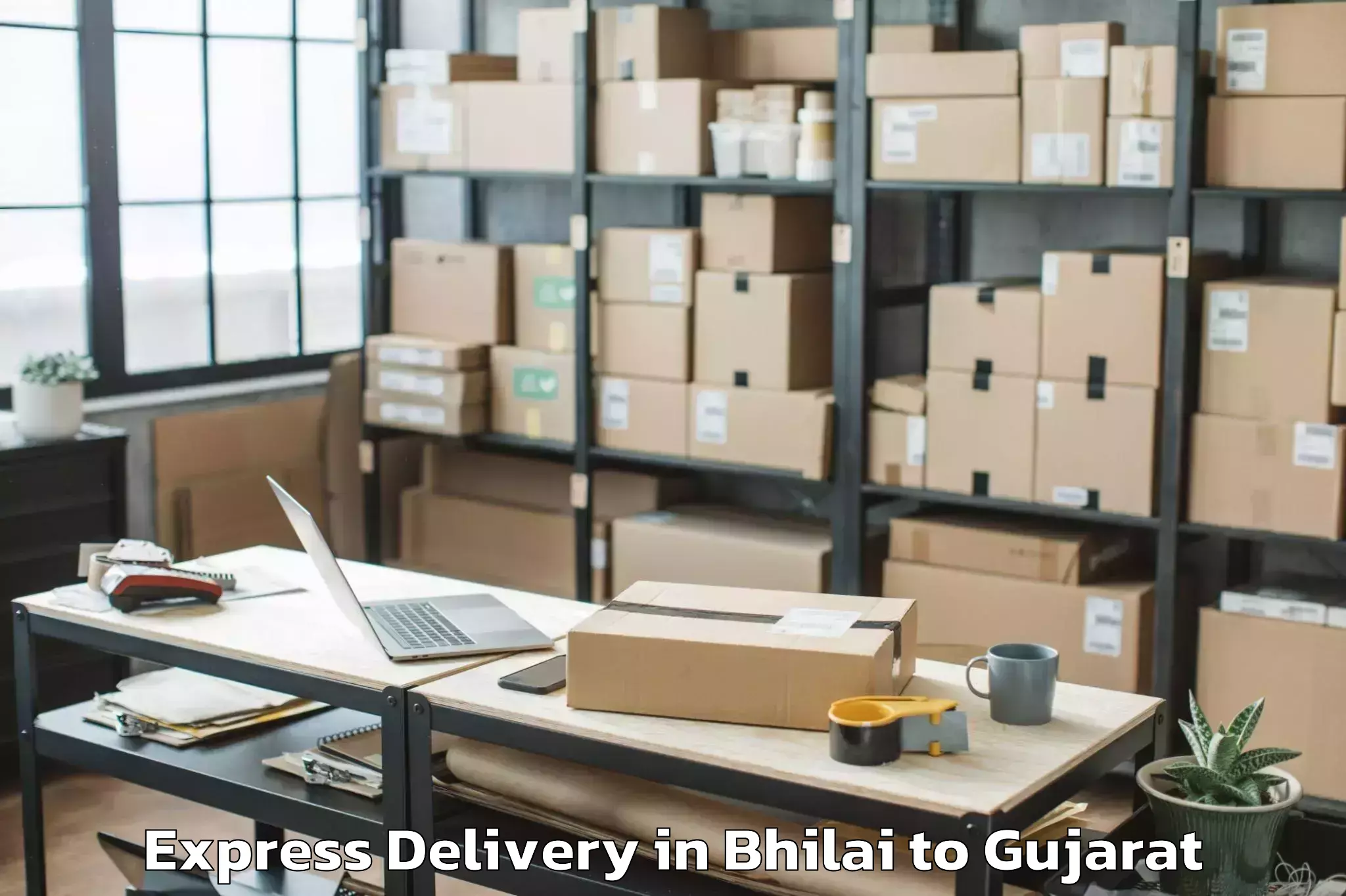 Book Bhilai to Malpur Express Delivery Online